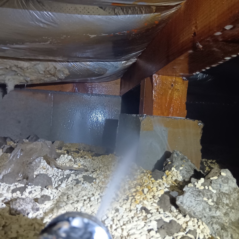 束石まわりにシロアリ駆除剤を散布