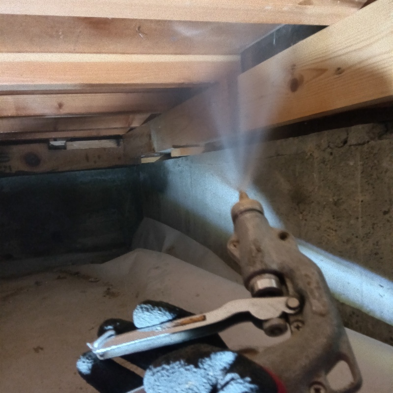 床下木材に防蟻剤を散布する様子