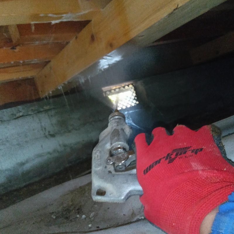 床下木材に防蟻剤を散布する様子