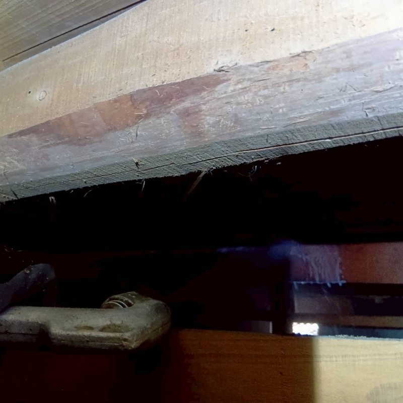築年数40年のシロアリ駆除の施工事例（岐阜県各務原市上中屋町）