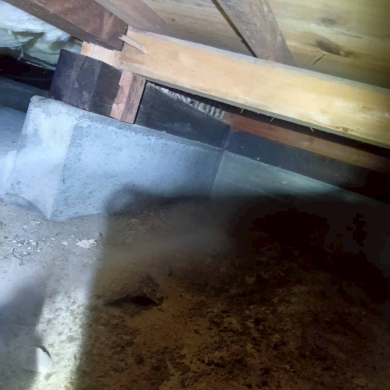 床下の土壌にシロアリ駆除剤を吹き付ける様子