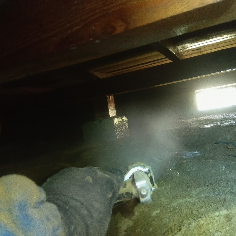 築年数40年のシロアリ駆除の施工事例（福島県いわき市常磐上湯長谷町越巻）