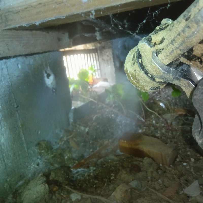 地面・基礎にシロアリ駆除剤を散布