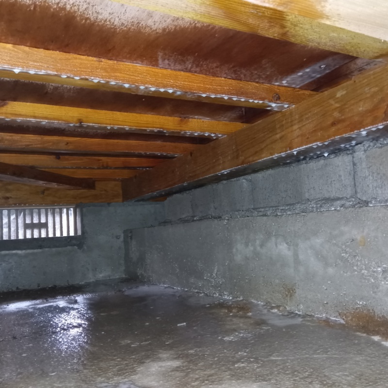 床下木材に防蟻剤を散布したあとの様子