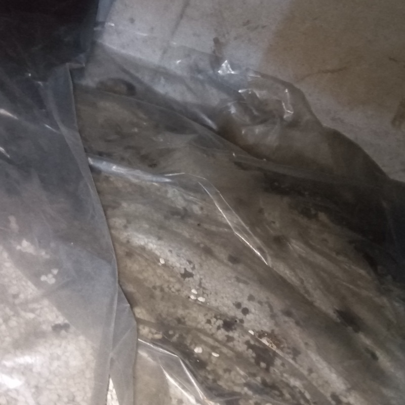 床下に防湿シートを設置