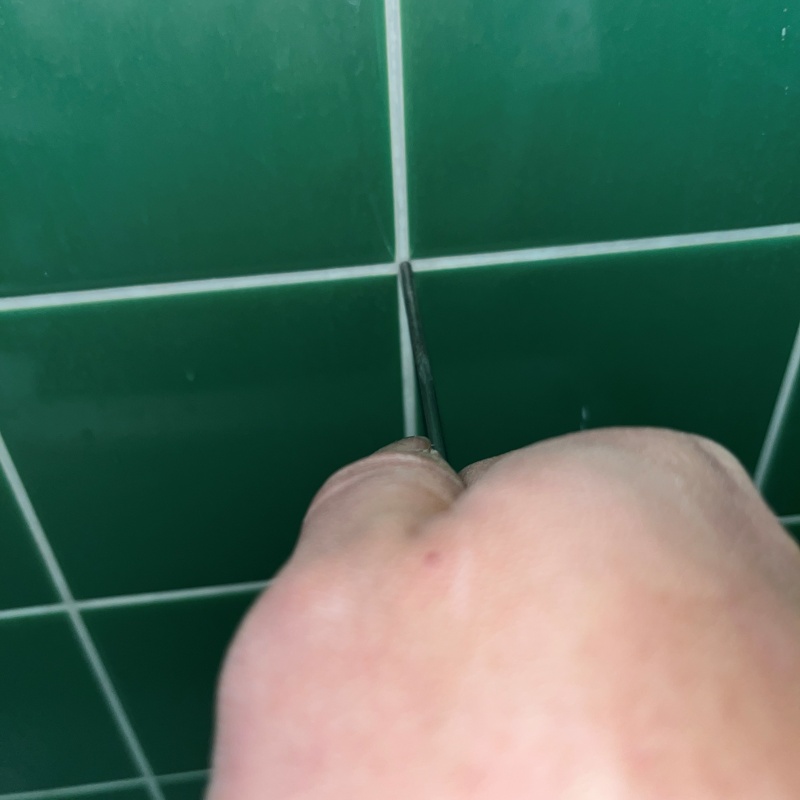 トイレのタイルの目地からシロアリ駆除剤を注入