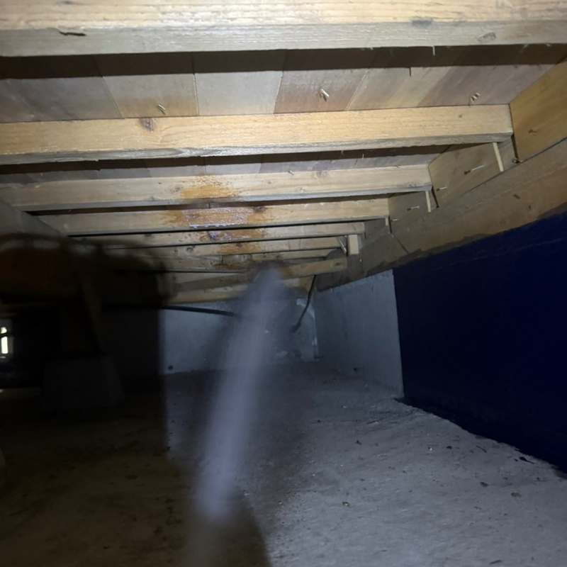 床下木材に防蟻剤を散布