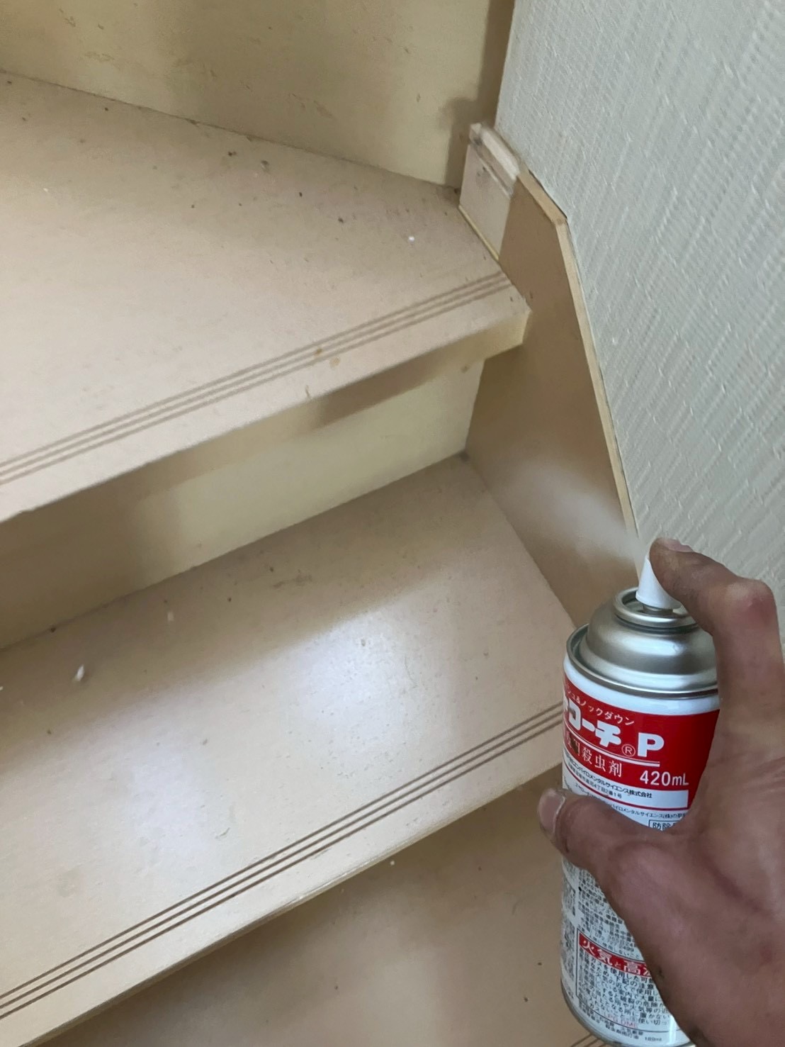 室内に殺虫剤を散布