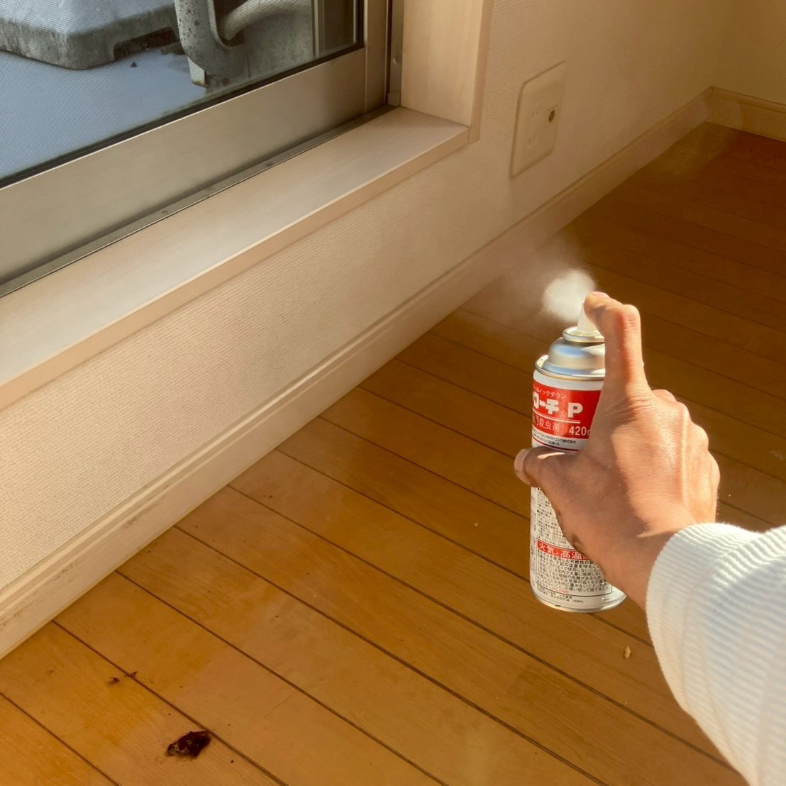 室内に殺虫剤を吹き付けている様子