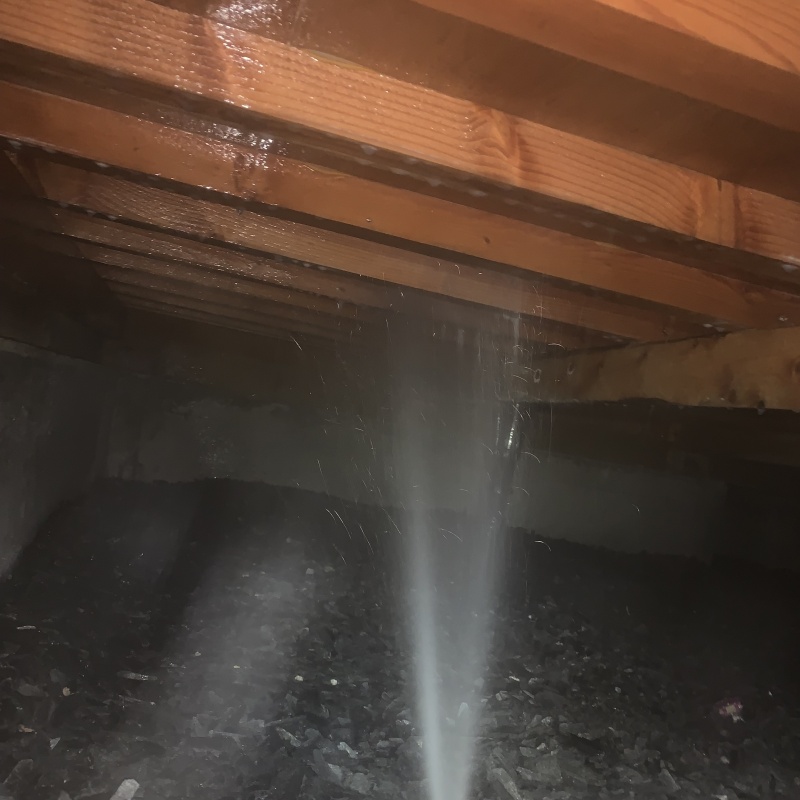 築年数30年のシロアリ予防の施工事例（愛知県田原市野田町南彦田）