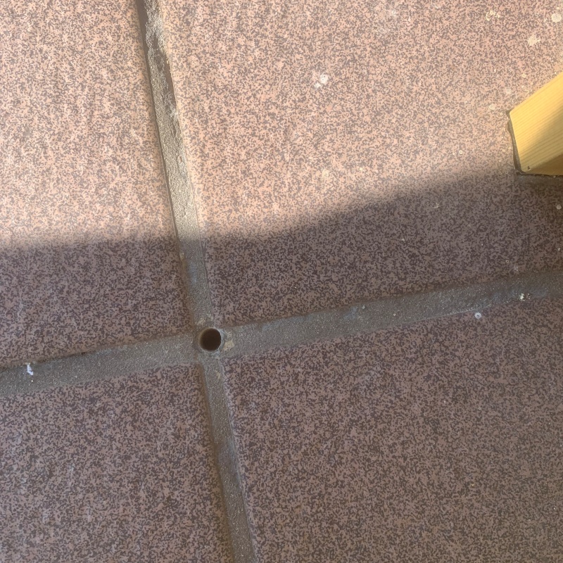 防蟻剤を注入するための穴を開けた様子