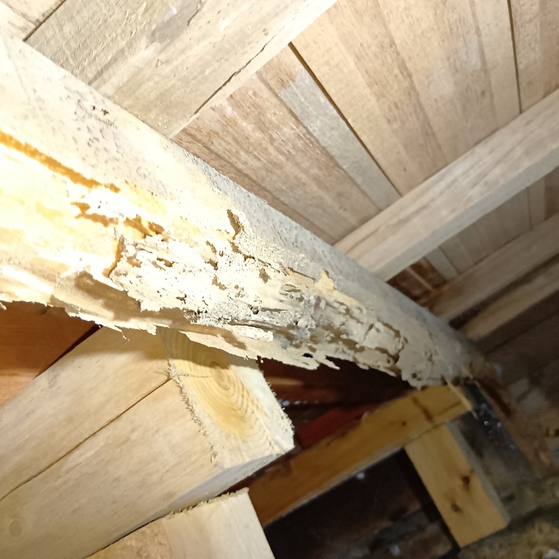 築年数60年のシロアリ駆除の施工事例（岐阜県土岐市駄知町）