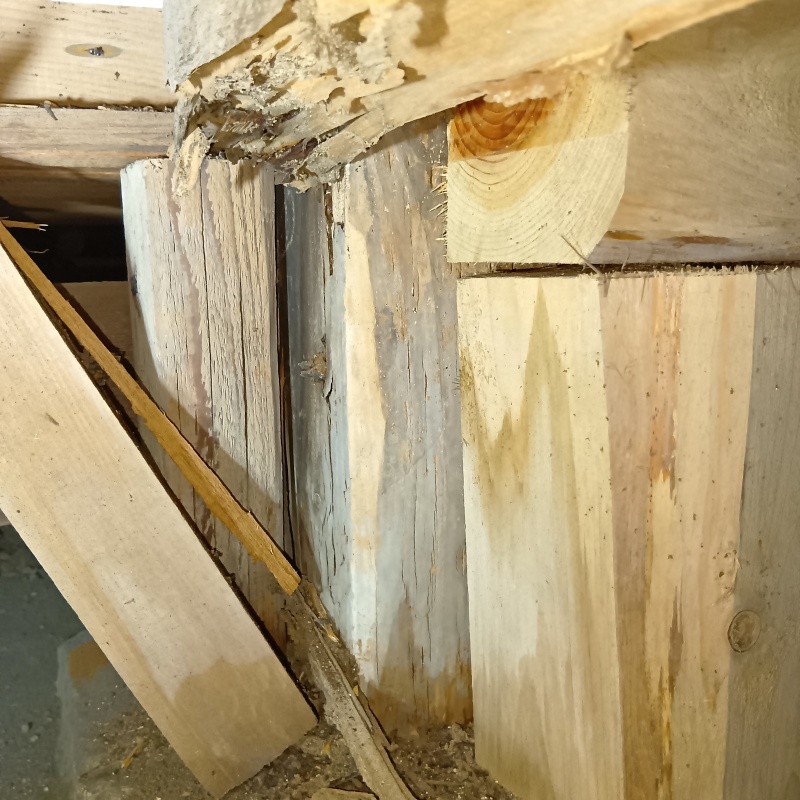 ダメージが蓄積した床下の木材