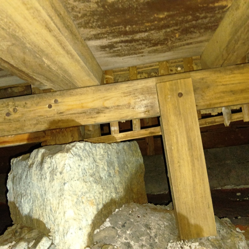 シロアリ駆除剤を吹きつける前の床下の様子