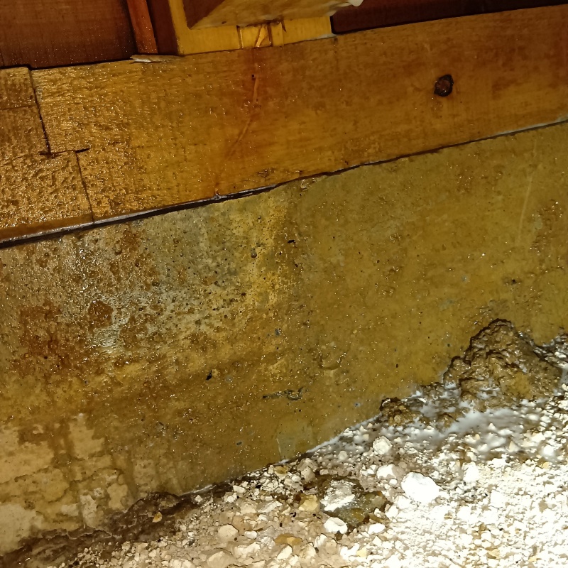 床下の基礎部分にシロアリ駆除剤を散布