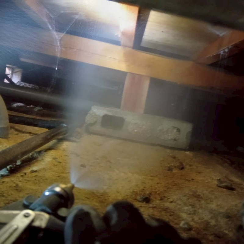 床下木材にシロアリ駆除剤を吹き付ける様子