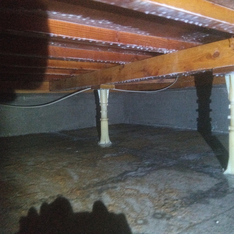 地面・基礎にシロアリ駆除剤を散布した様子