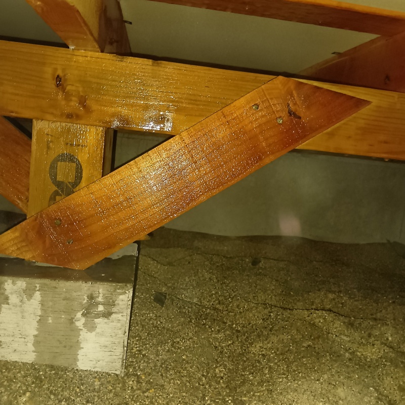 地面・基礎に防蟻剤を散布した様子