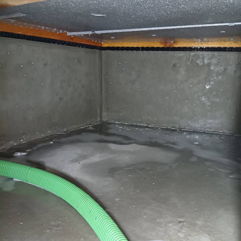 地面・基礎に防蟻剤を散布した様子