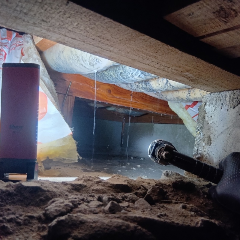 築年数36年のシロアリ駆除の施工事例（福岡県春日市須玖北）