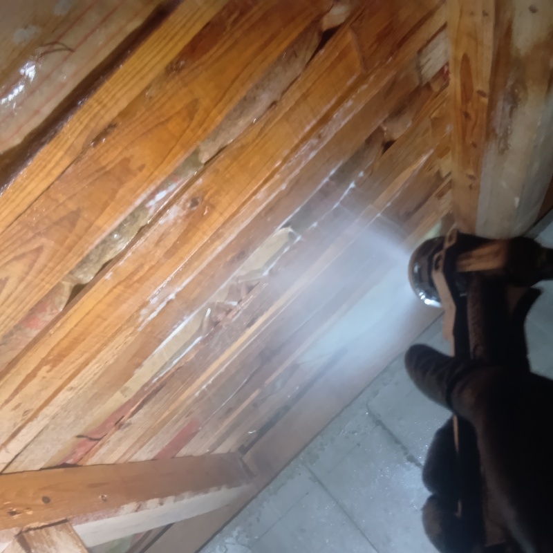 床下木材にシロアリ駆除剤を散布