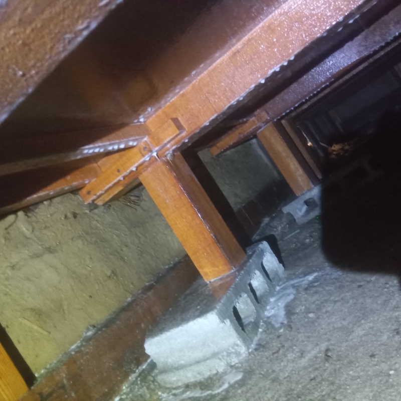 地面・基礎にシロアリ駆除剤を散布した様子