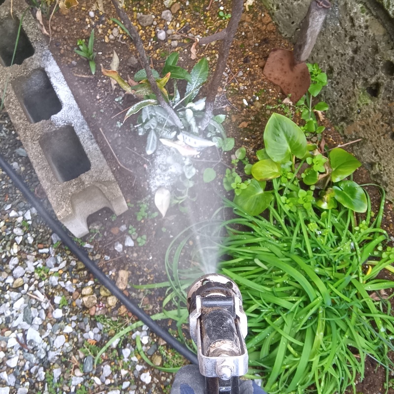 屋外の地面に防蟻剤を散布