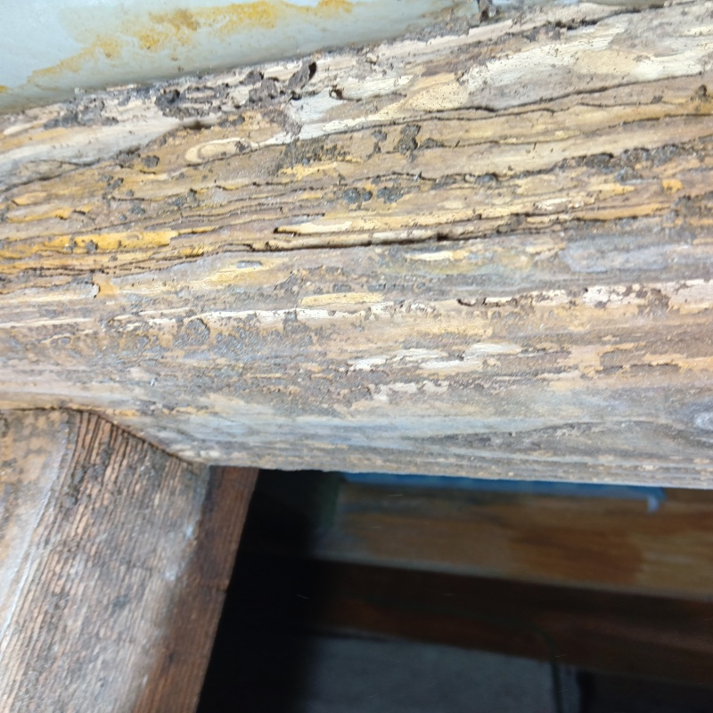 築年数10年のシロアリ駆除の施工事例（熊本県熊本市東区沼山津）