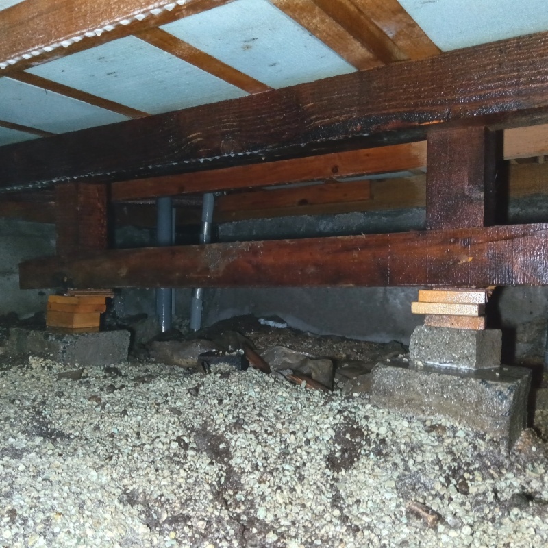 土壌処理が完了した様子