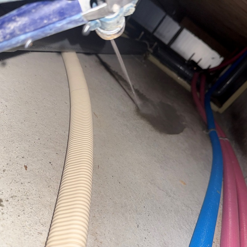 床下の地面に防蟻剤を散布