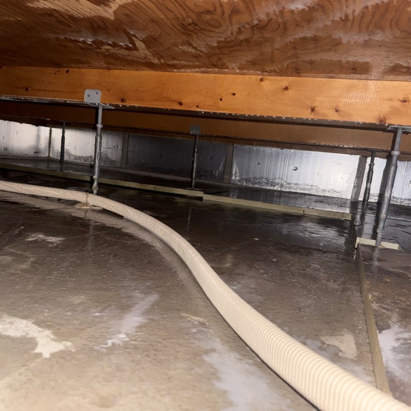 土壌処理が完了した様子