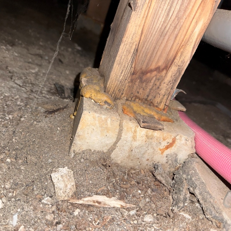 築年数50年のシロアリ駆除の施工事例（茨城県取手市小文間）