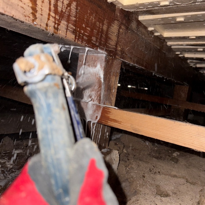 床下の木材にシロアリ駆除剤を散布