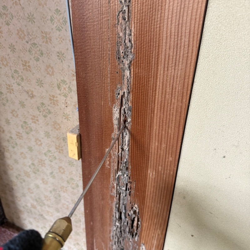 傷んだ柱にシロアリ駆除剤を注入