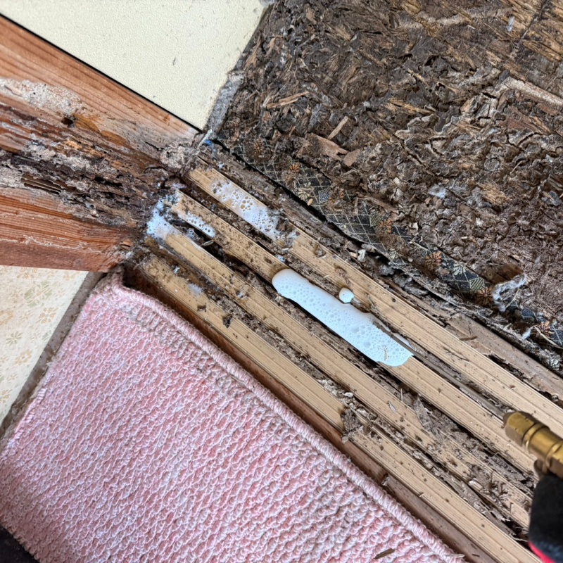 桟にシロアリ駆除剤を散布