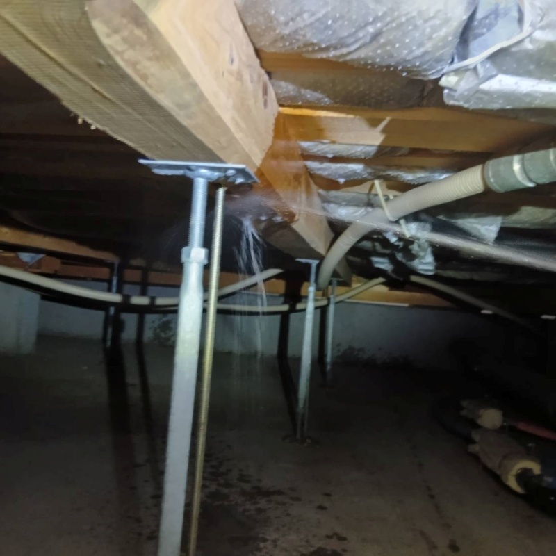 床下の木材に防蟻剤を散布