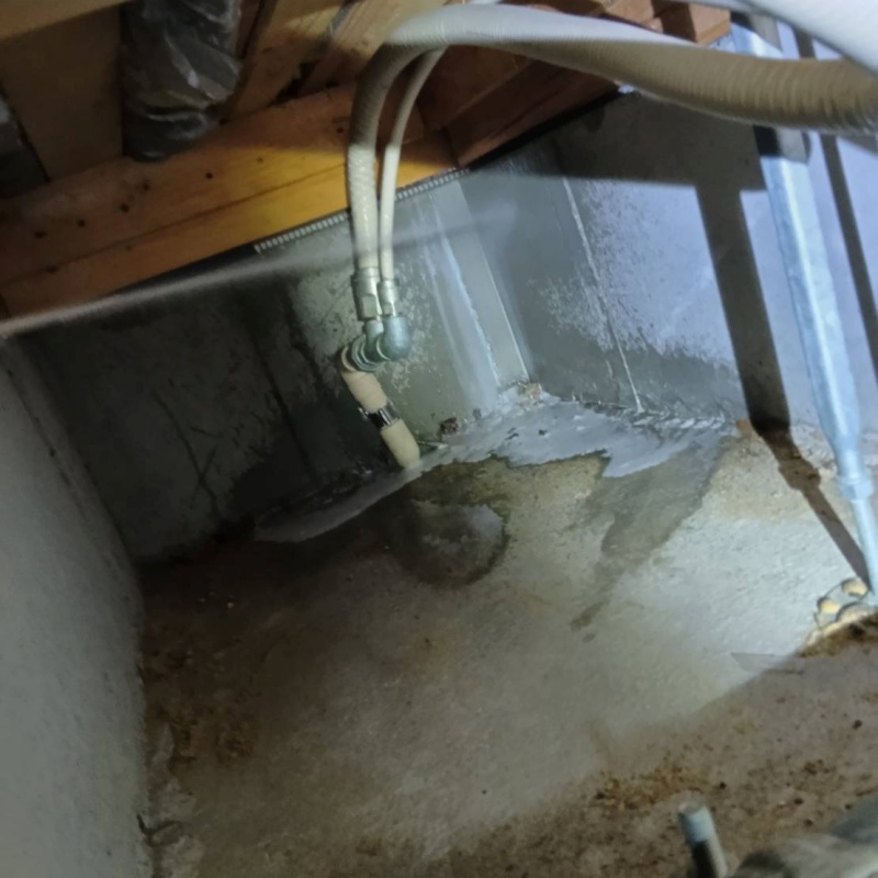 土壌処理が完了した様子