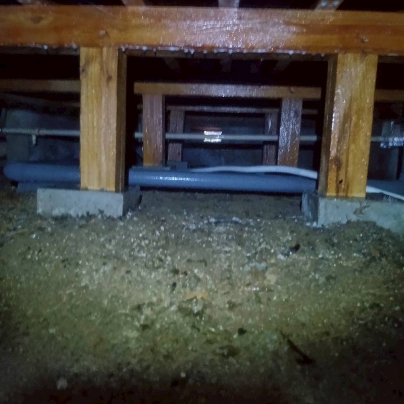 土壌処理が完了した様子