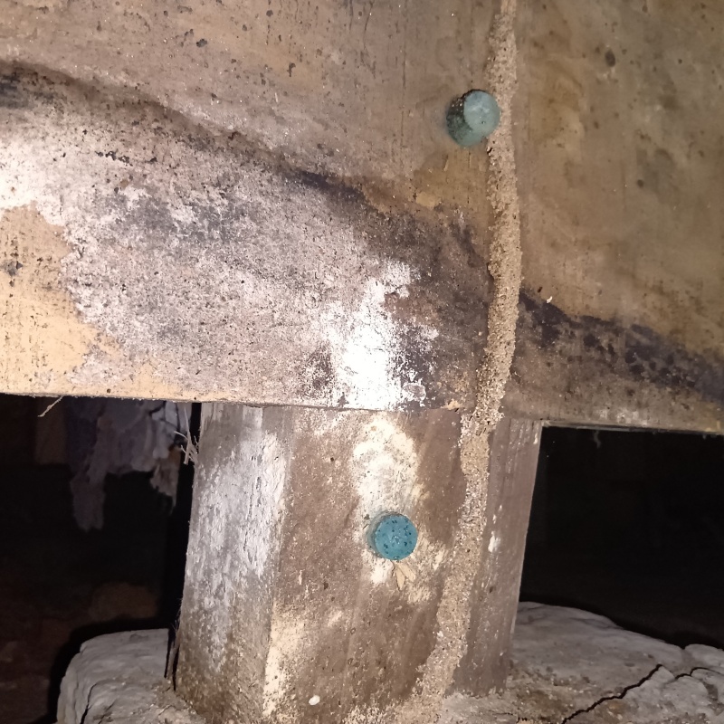 シロアリ駆除の施工事例（長崎県長崎市田中町）