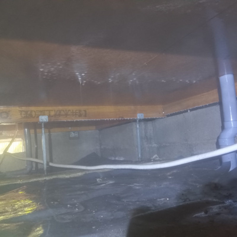 土壌処理が完了した様子