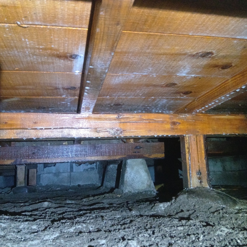 土壌処理が完了した様子