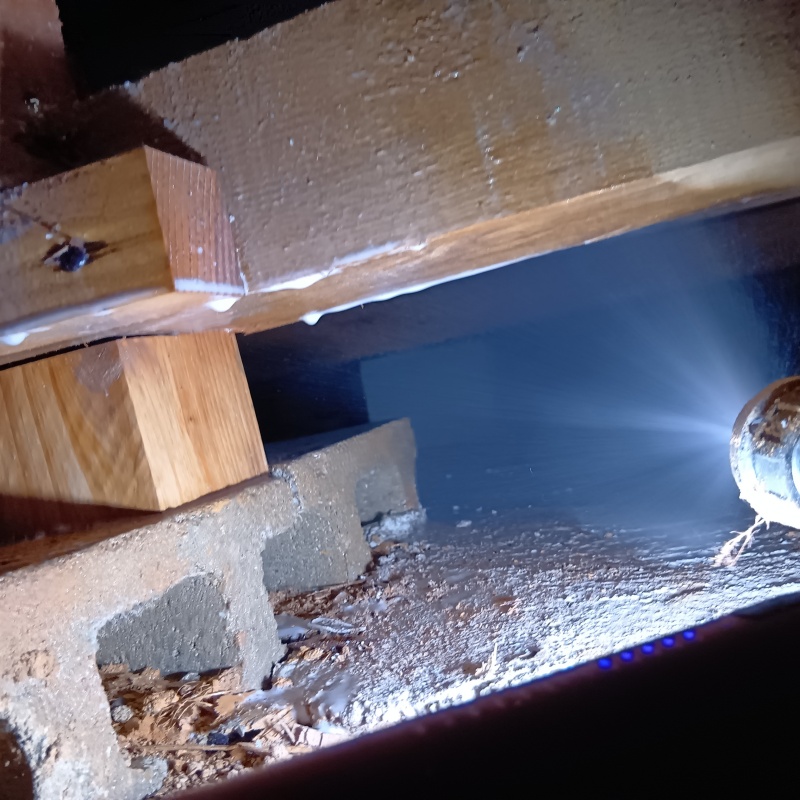 床下の木材に防蟻剤を散布