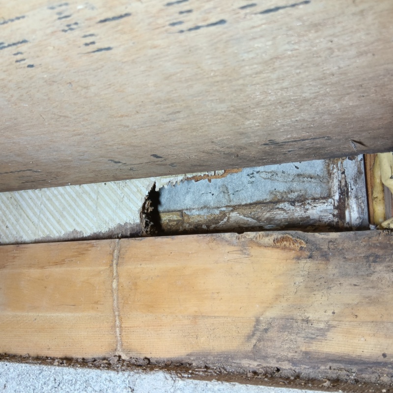 築年数30年のシロアリ駆除の施工事例（鹿児島県姶良市平松）