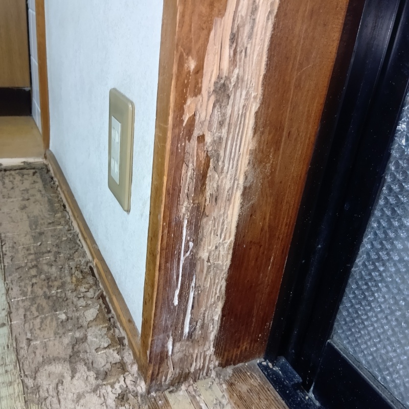 築年数30年のシロアリ駆除の施工事例（大阪府大阪市鶴見区横堤）