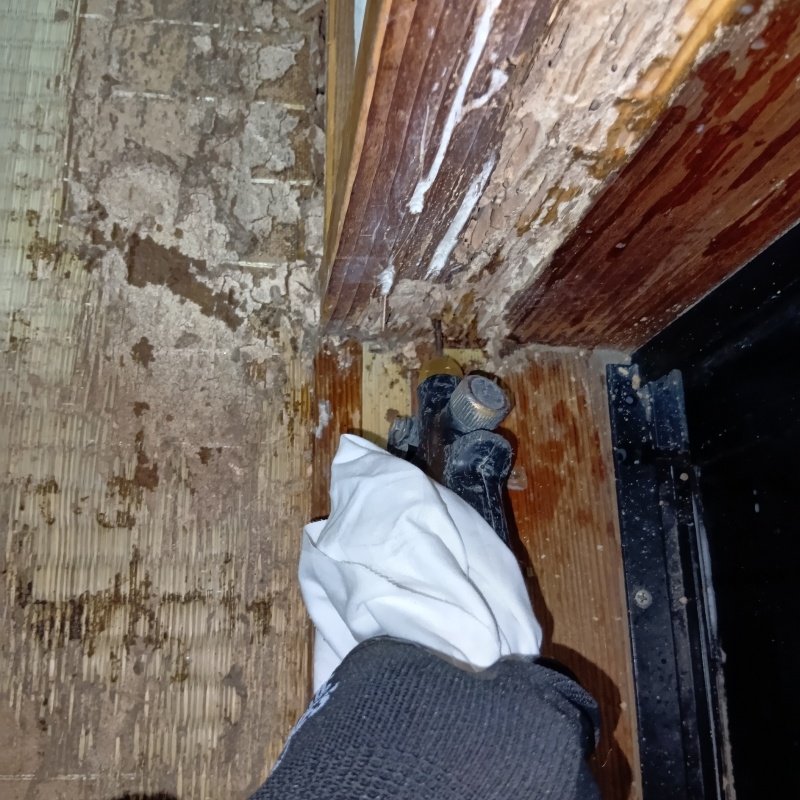 傷んだ木部にシロアリ駆除剤を注入