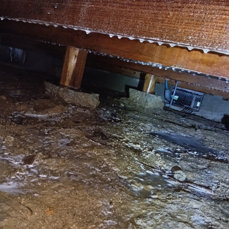 土壌処理が完了した様子