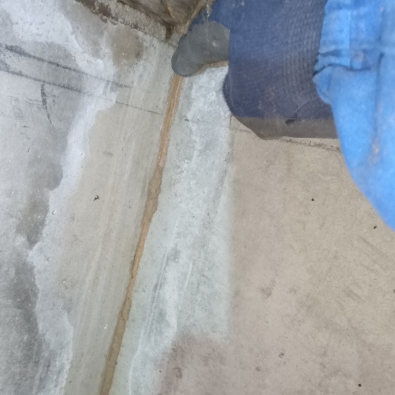 築年数31年のシロアリ駆除の施工事例（東京都葛飾区東金町）