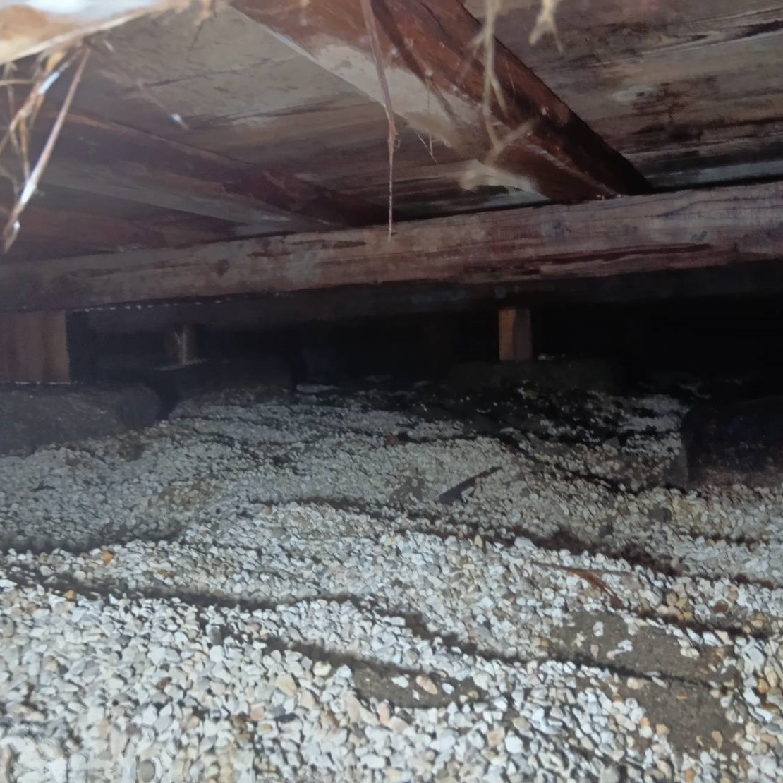 シロアリ予防の施工事例（愛知県岡崎市上三ツ木町左ノ木）