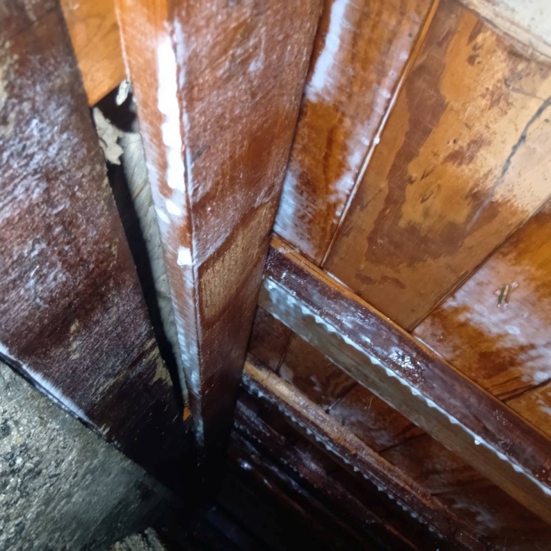 木部処理が完了した様子