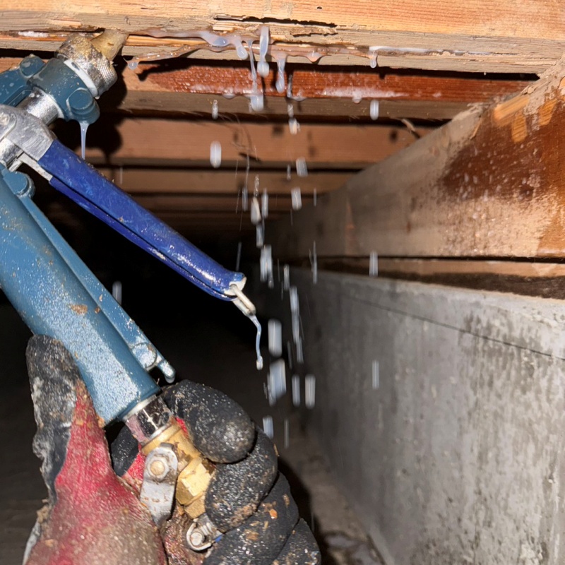 床下の木材にシロアリ駆除剤を散布